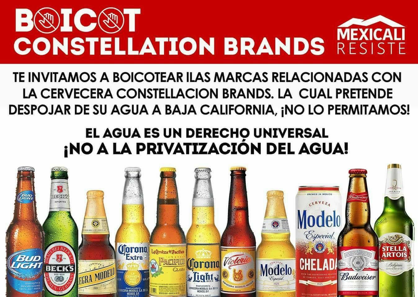 Un trago amargo—A Bitter Drink: Beer, Water, and Globalization