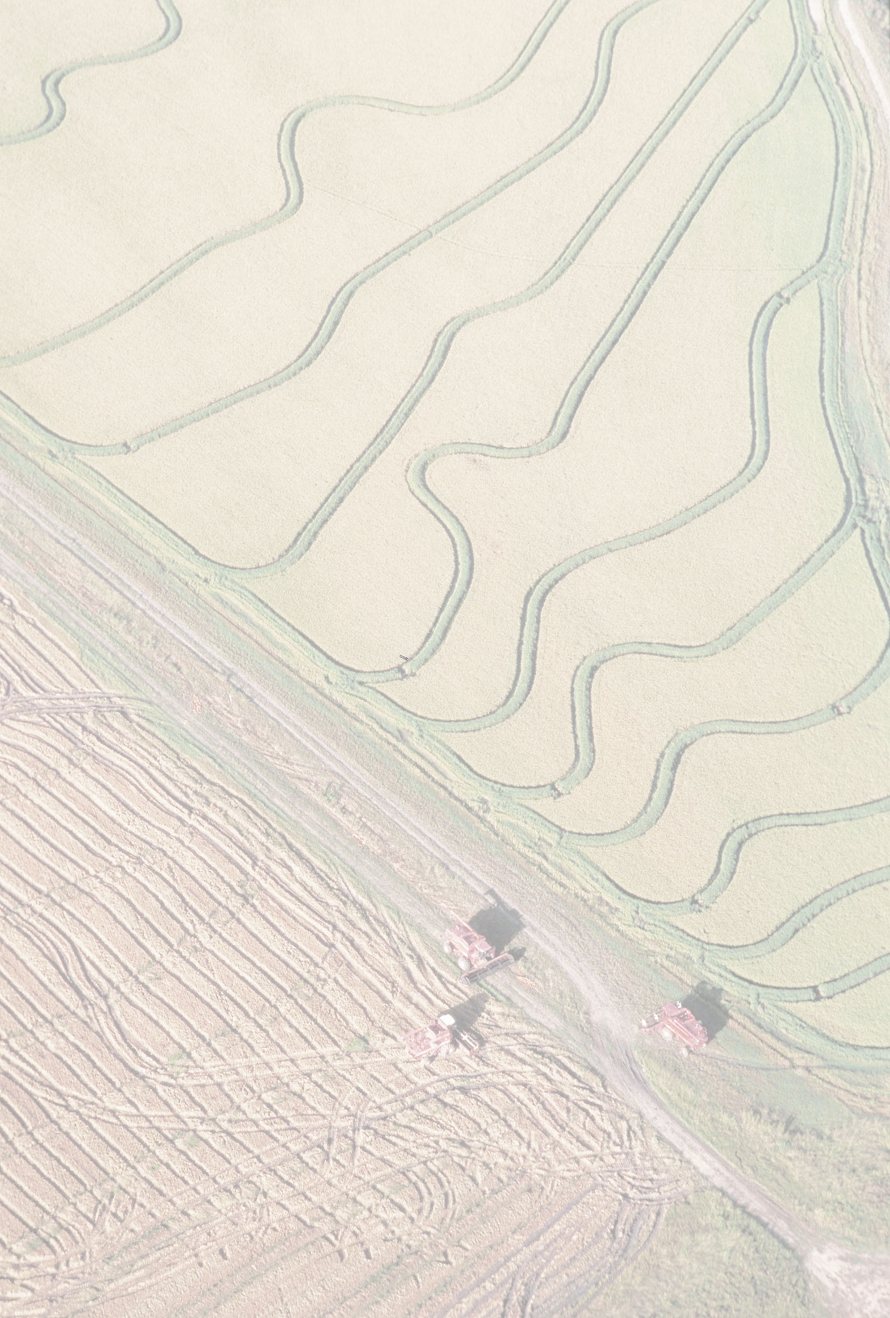 11048-aerial-view-of-rice-harvesting-on-a-farm-or – Seeing the Woods