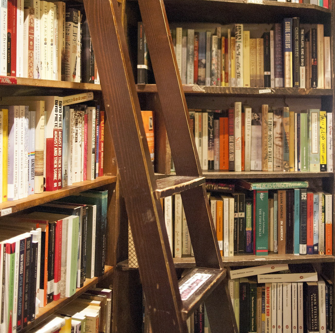 Review of “Disrupted Landscapes: State, Peasants and the Politics of Land in Postsocialist Romania” by Stefan Dorondel