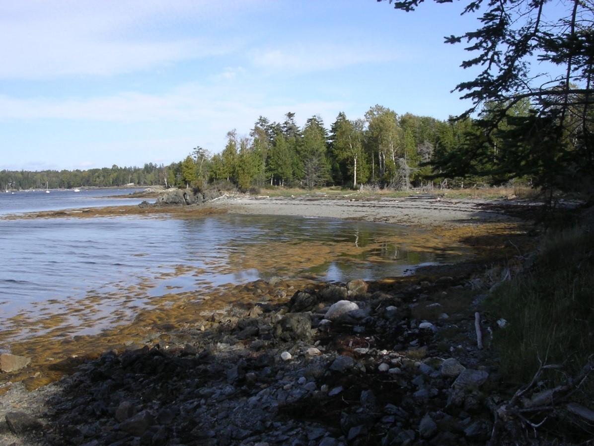 Making Tracks: Charlie Trautmann