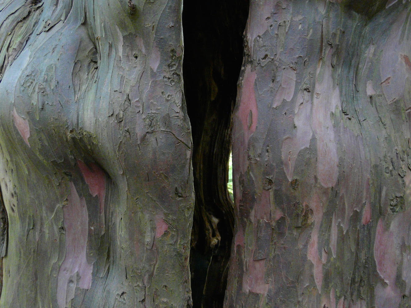 Capturing the Environment