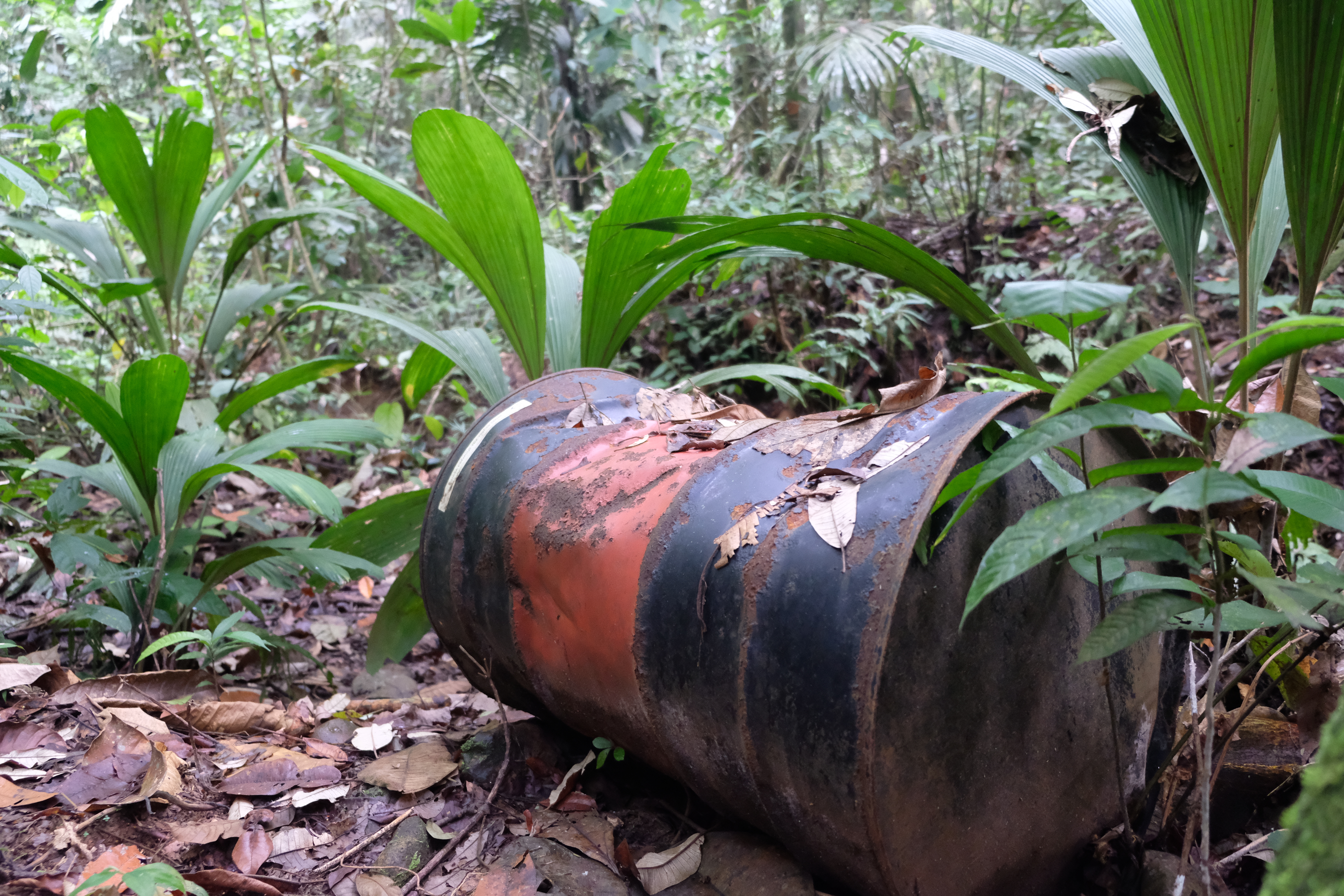 For a Dignified Life