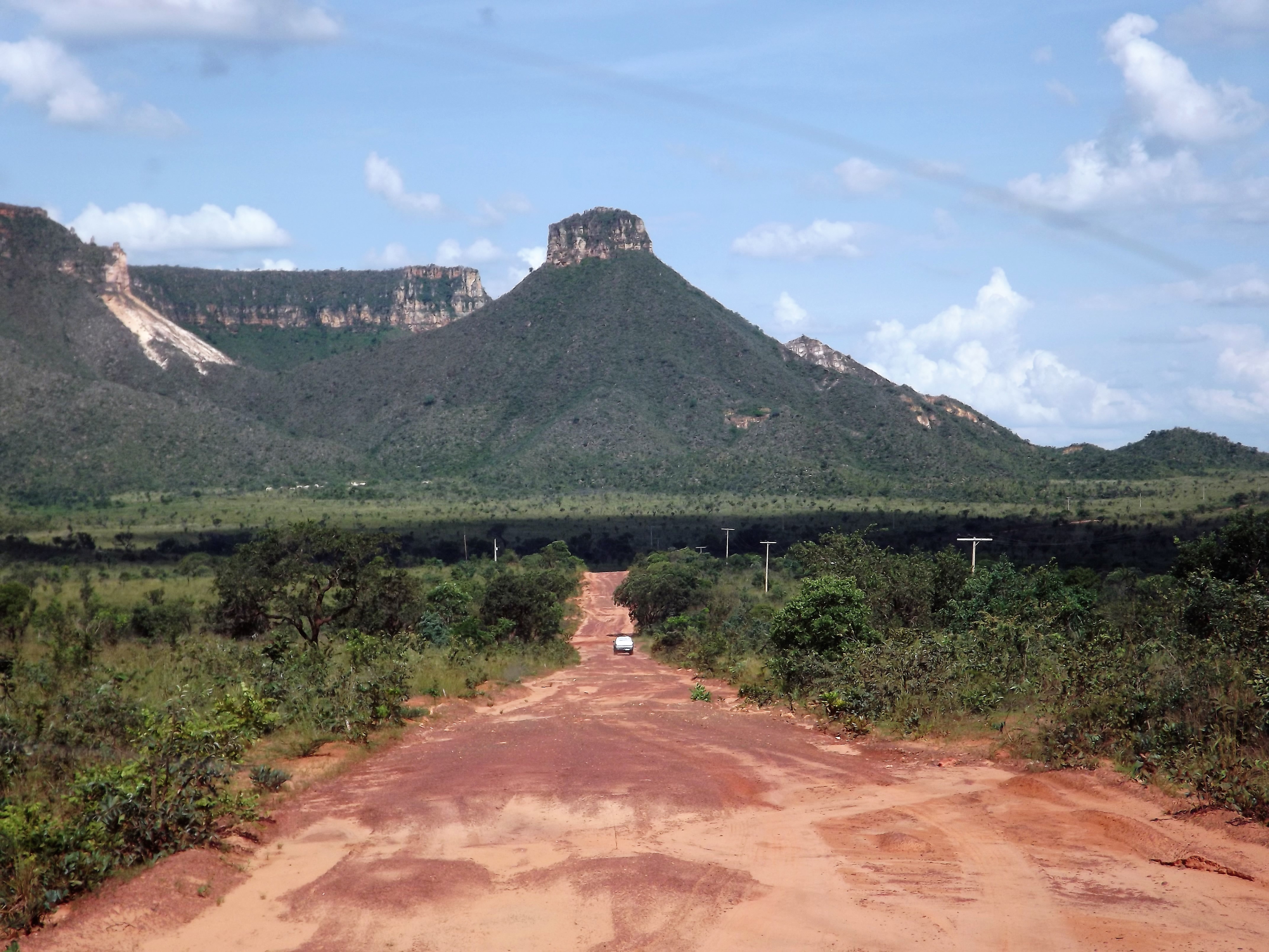 Environmental Histories of the Brazilian Cerrado