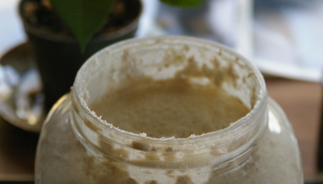 Sourdough Cultures