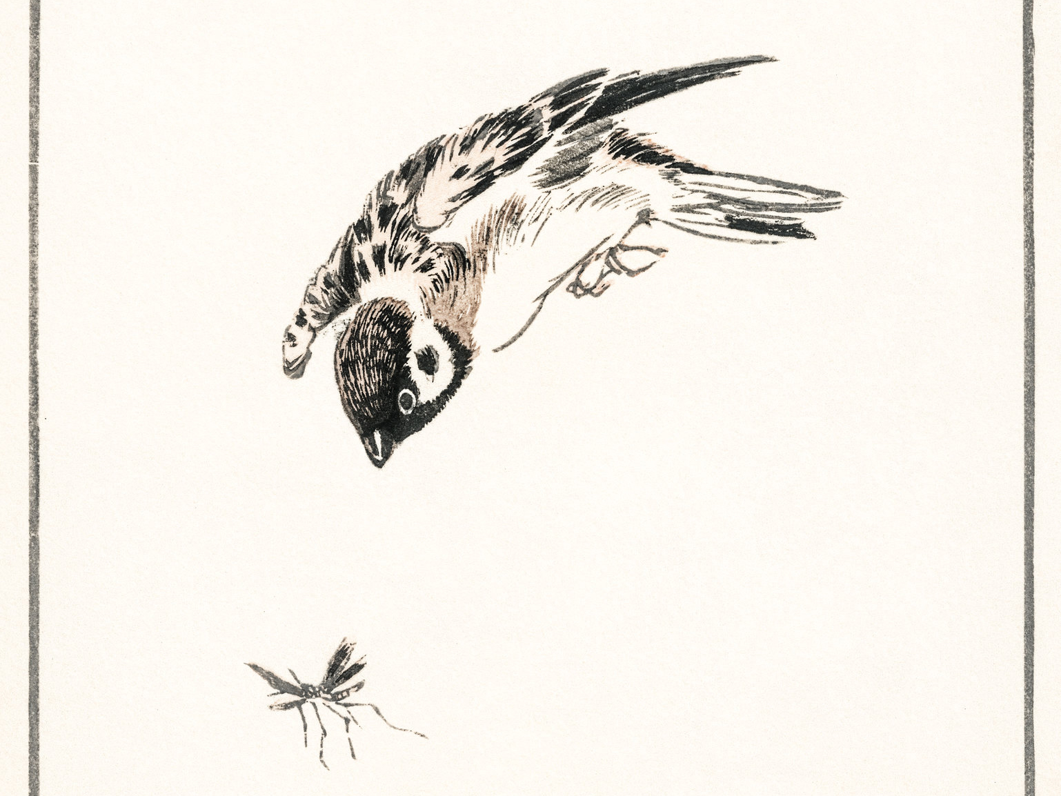 Mosquitopia Part 2: A few Reasons for Saving Mosquitoes