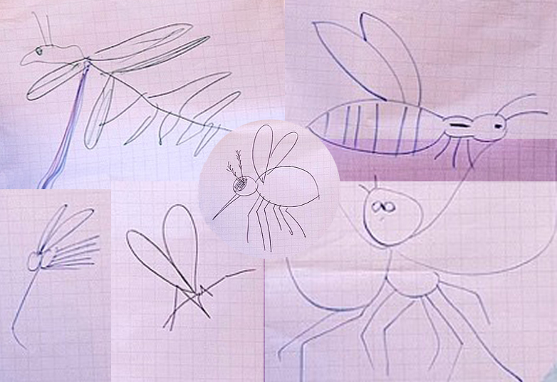 Post-Mosquito Mortem: A Symposium Report