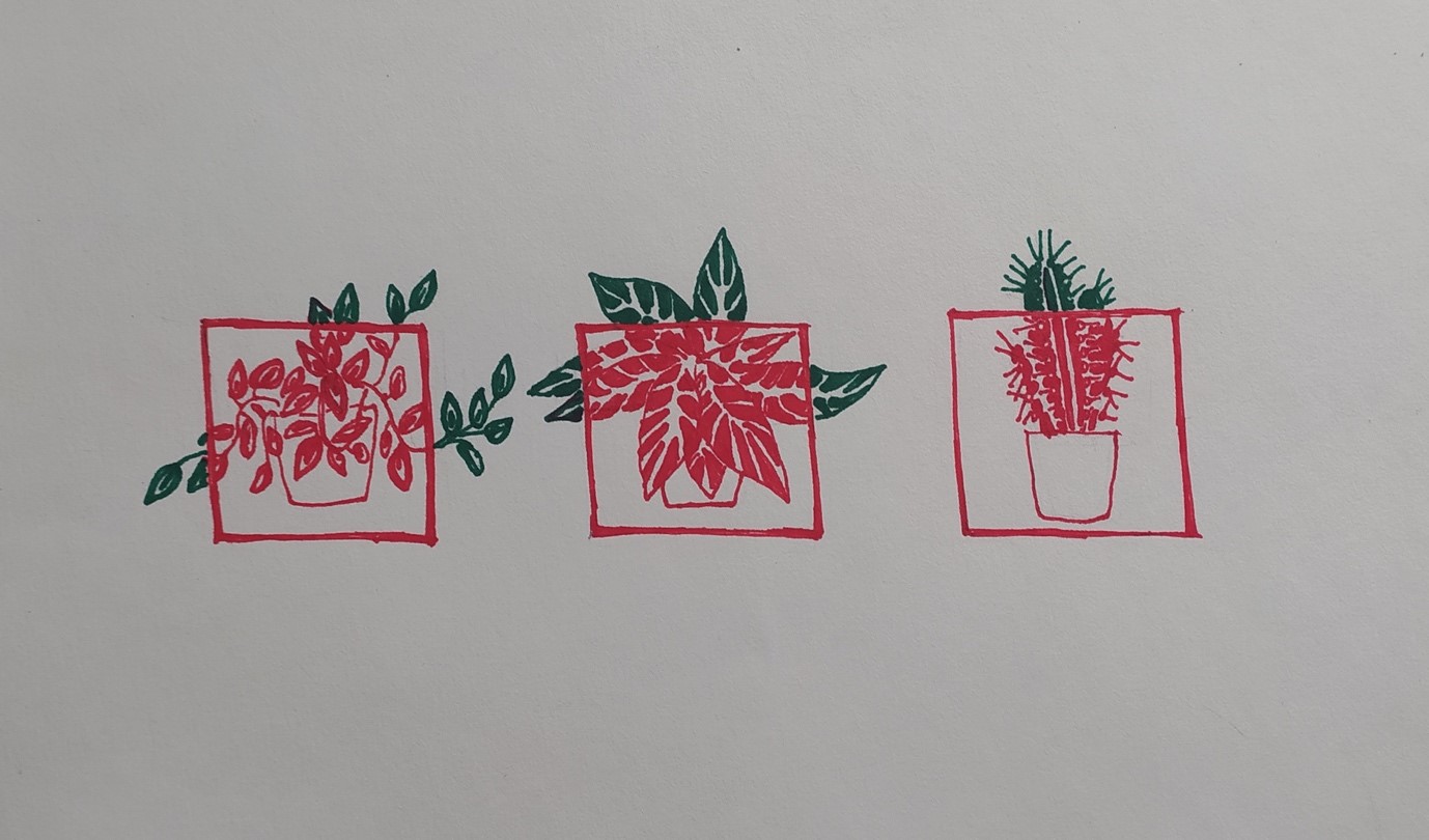 Lockdown and Locked In: Houseplants and Covid-19