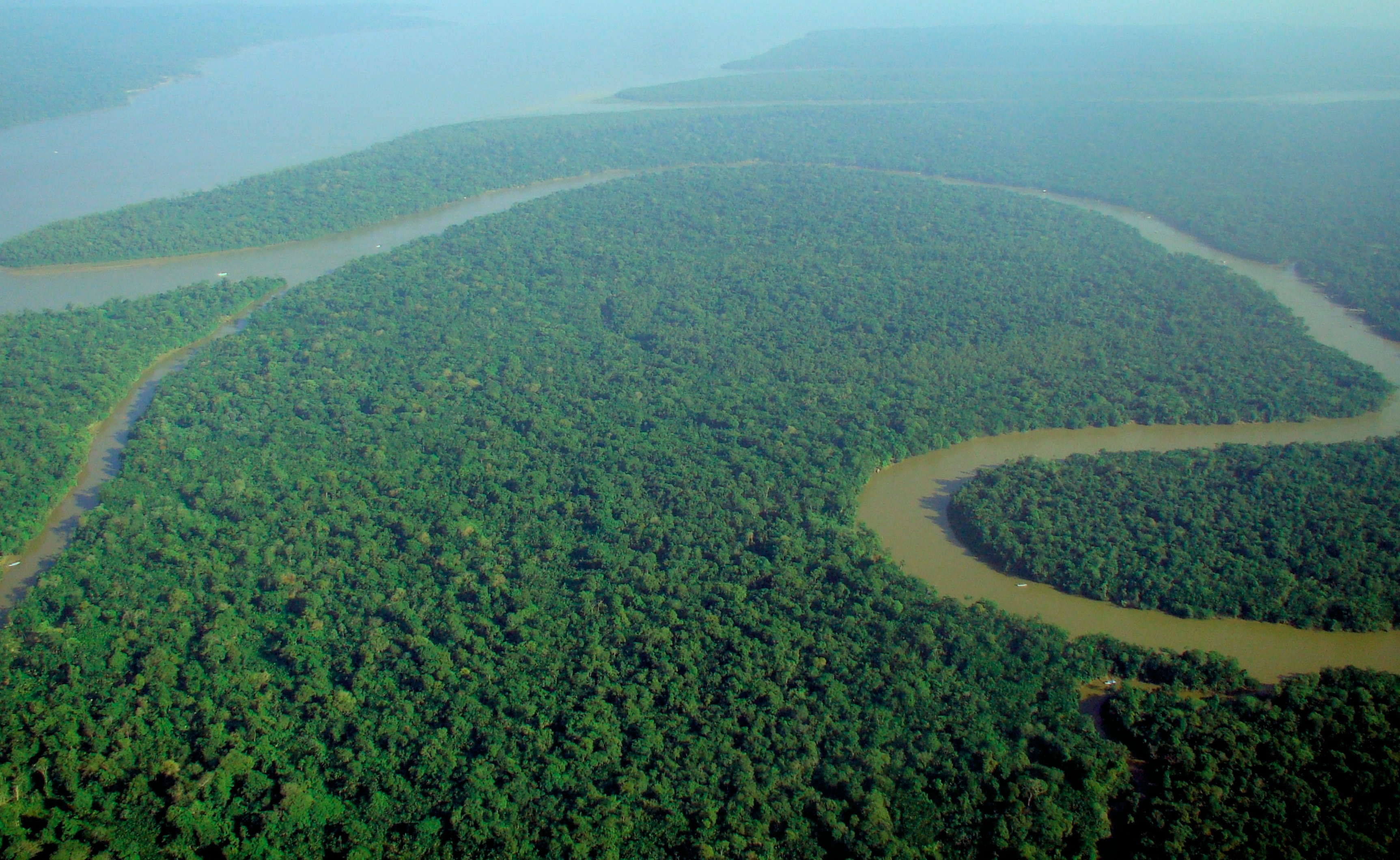 The Future of Amazonia: Inheritance or Ruin?