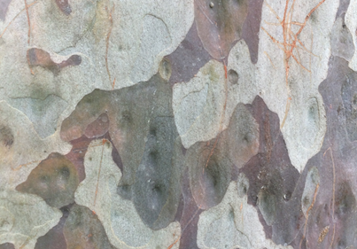 Watch and Act, Summer