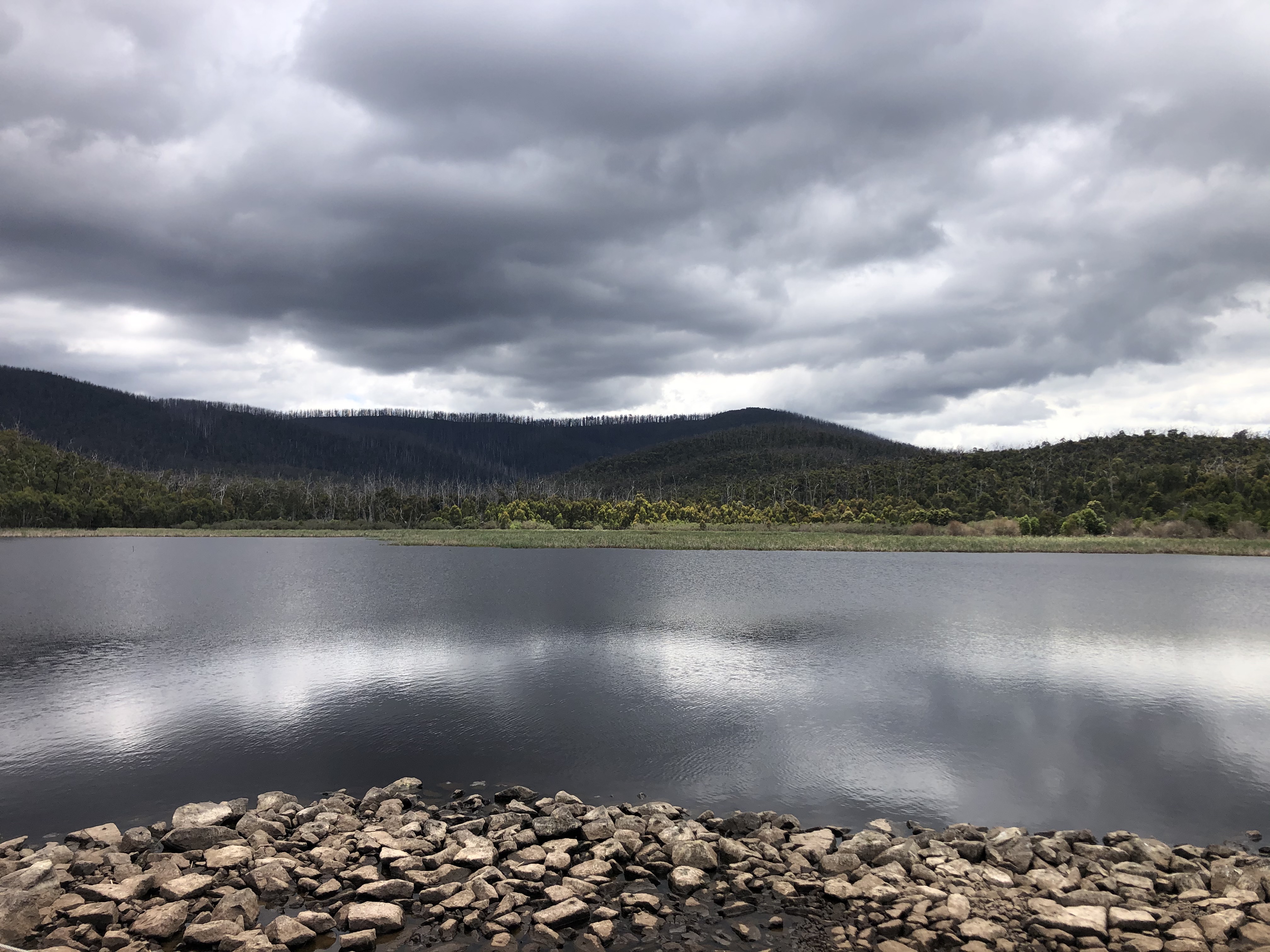 Summer’s Tempo: Bushfires, Water, and Time