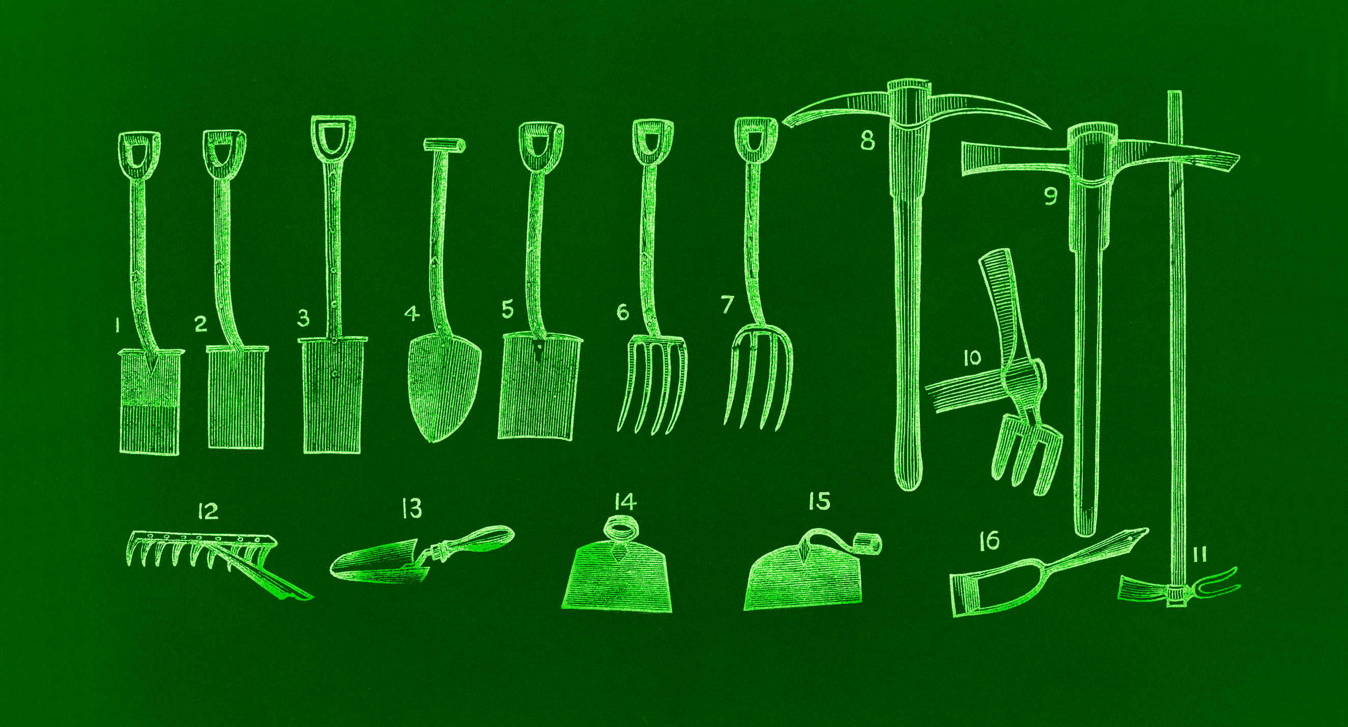 Why Ecocriticism Needs the Social Sciences (and Vice Versa)