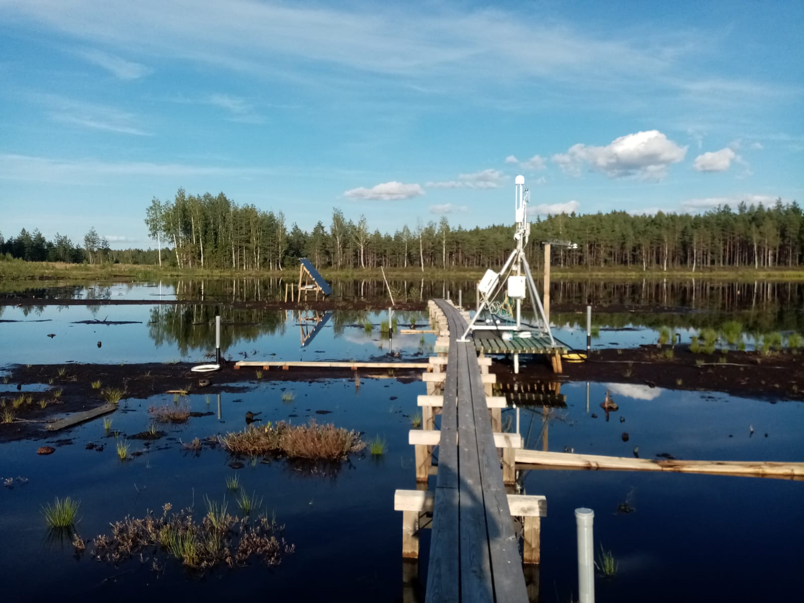 On Moral Grounds? Carbon Futures for Lowland Peat