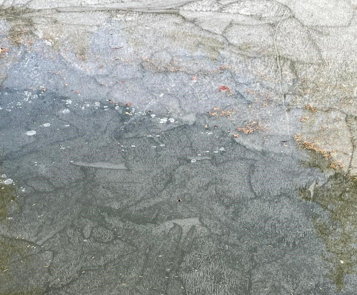 Careful Contemplations