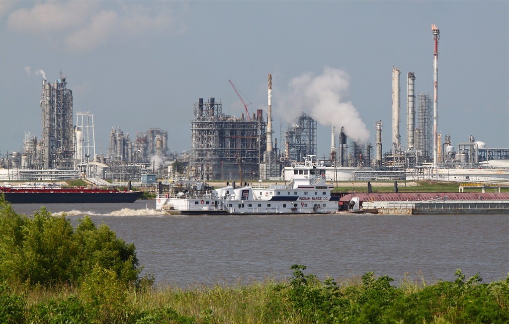 Loss, Grief, and the Politics of Planetary Health