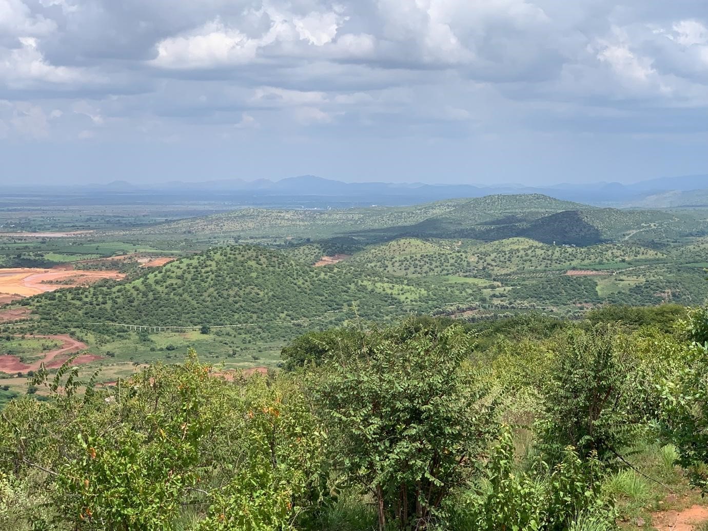 The Planetary as Embodied